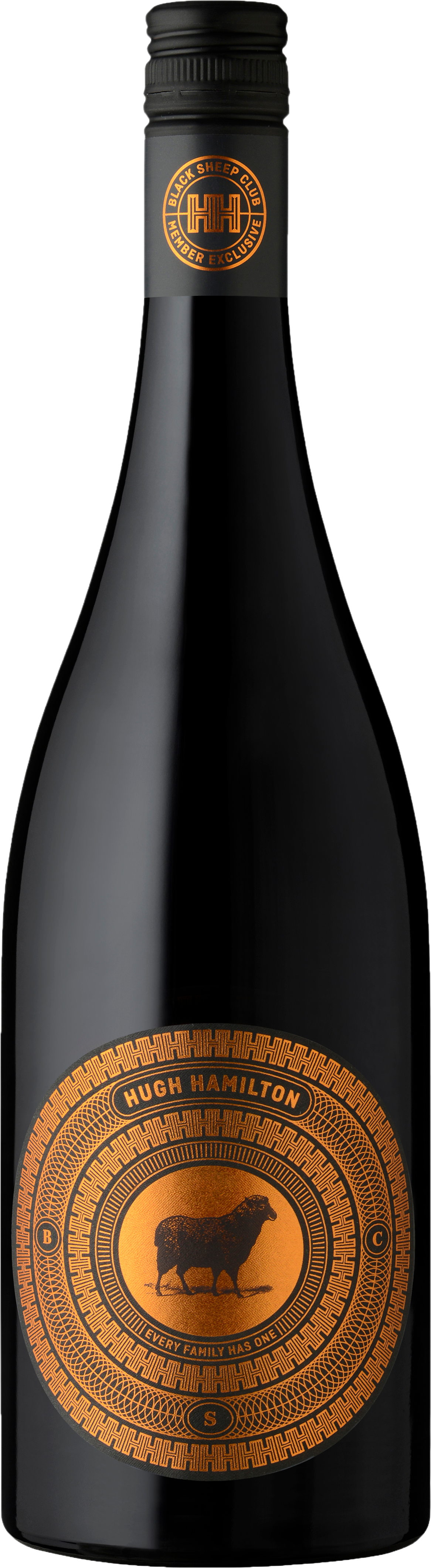 Hugh Hamilton Wines Ancient Earth Shiraz 2021